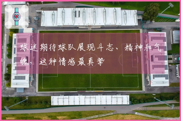 球迷期待球队展现斗志、精神和气魄，这种情感最真挚