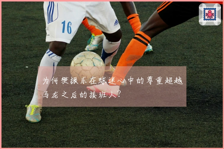 为何樊振东在球迷心中的尊重超越马龙之后的接班人？